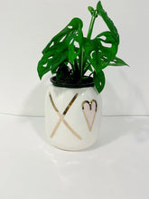 Load image into Gallery viewer, Love Pot
