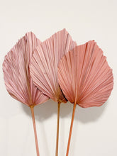 Load image into Gallery viewer, Dried Anahaw Leaves | Dried Palm Leaves
