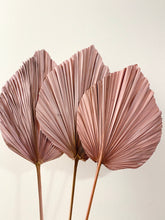 Load image into Gallery viewer, Dried Anahaw Leaves | Dried Palm Leaves

