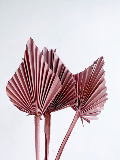 Small Dried Palm Spears