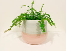 Load image into Gallery viewer, Blush Ceramic Pot
