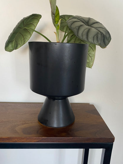 Black De Vil Pot