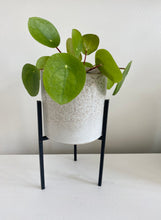 Load image into Gallery viewer, Veranda Planter with stand
