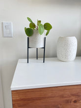 Load image into Gallery viewer, Veranda Planter with stand
