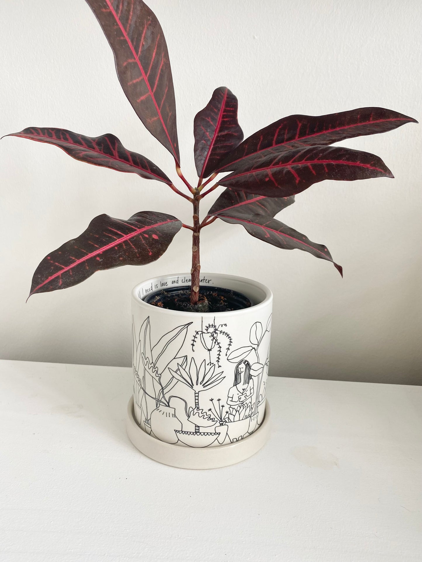 Plant Lady Pot