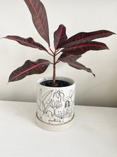 Load image into Gallery viewer, Plant Lady Pot
