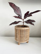 Load image into Gallery viewer, Orsen Candleholder &amp; Planter
