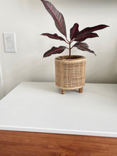 Load image into Gallery viewer, Orsen Candleholder &amp; Planter
