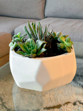 Load image into Gallery viewer, Succulent Geometric Planter

