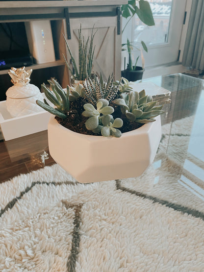 Succulent Geometric Planter
