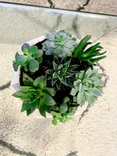 Load image into Gallery viewer, Succulent Geometric Planter
