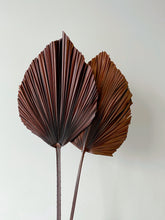 Load image into Gallery viewer, Dried Anahaw Leaves | Dried Palm Leaves
