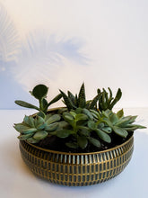 Load image into Gallery viewer, Gold Succulent Bowl
