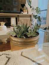 Load image into Gallery viewer, Gold Succulent Bowl
