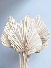 Load image into Gallery viewer, Small Dried Palm Spears
