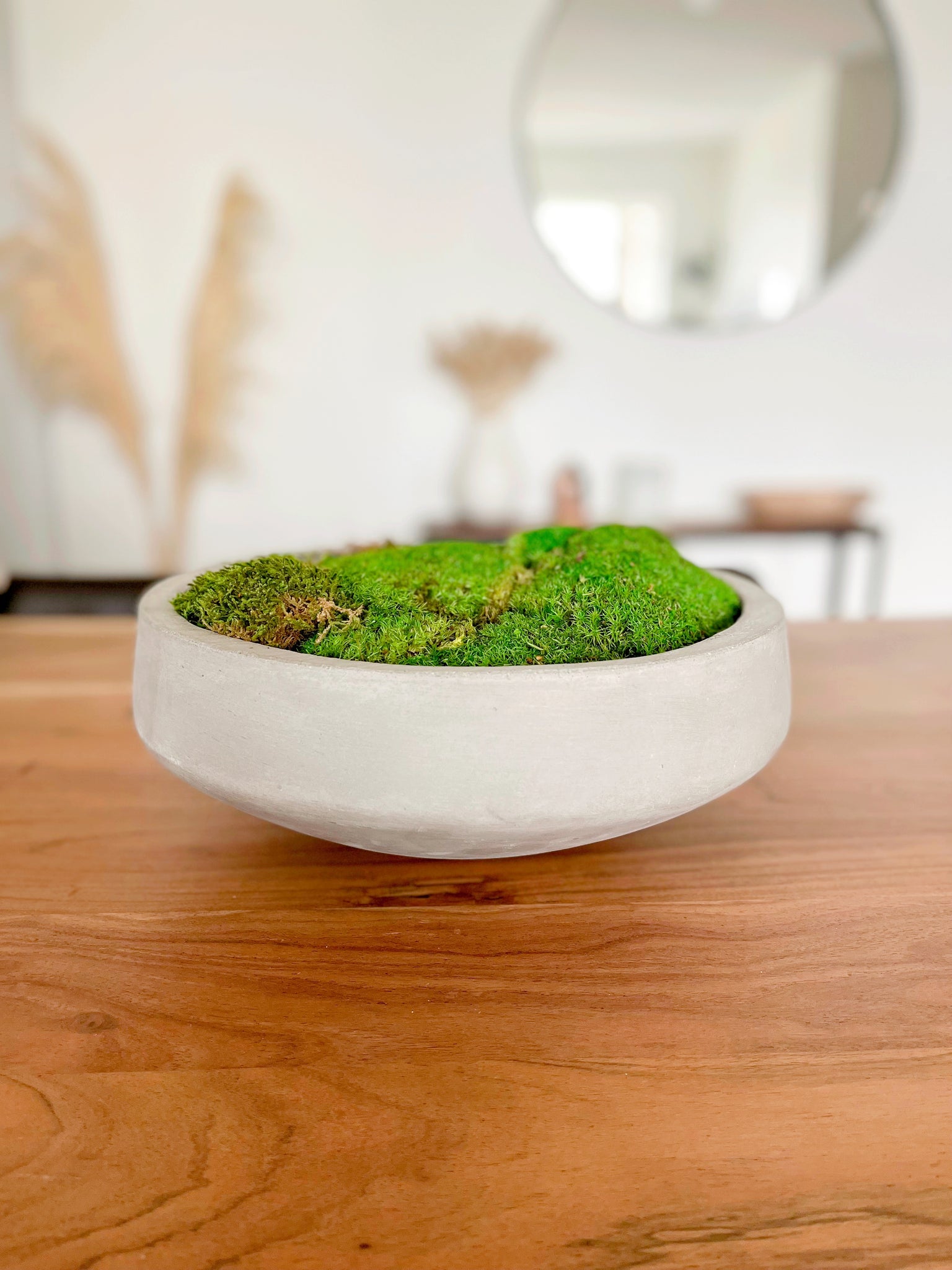 Large Round Moss Bowl Rustic Preserved Moss Centerpiece Moss