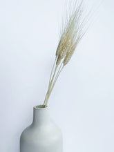 Load image into Gallery viewer, Large Dried Wheat Stalks
