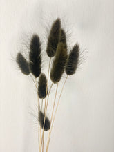 Load image into Gallery viewer, Dried Bunny Tails | Dried Lagurus
