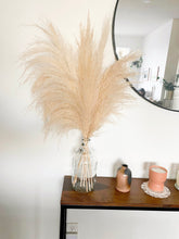 Load image into Gallery viewer, Amazon Pampas Grass (3 or 6 Stem Bundles)
