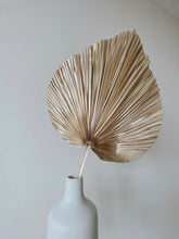 Load image into Gallery viewer, Dried Anahaw Leaves | Dried Palm Leaves
