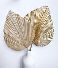Load image into Gallery viewer, Dried Anahaw Leaves | Dried Palm Leaves
