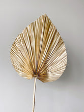 Load image into Gallery viewer, Dried Anahaw Leaves | Dried Palm Leaves
