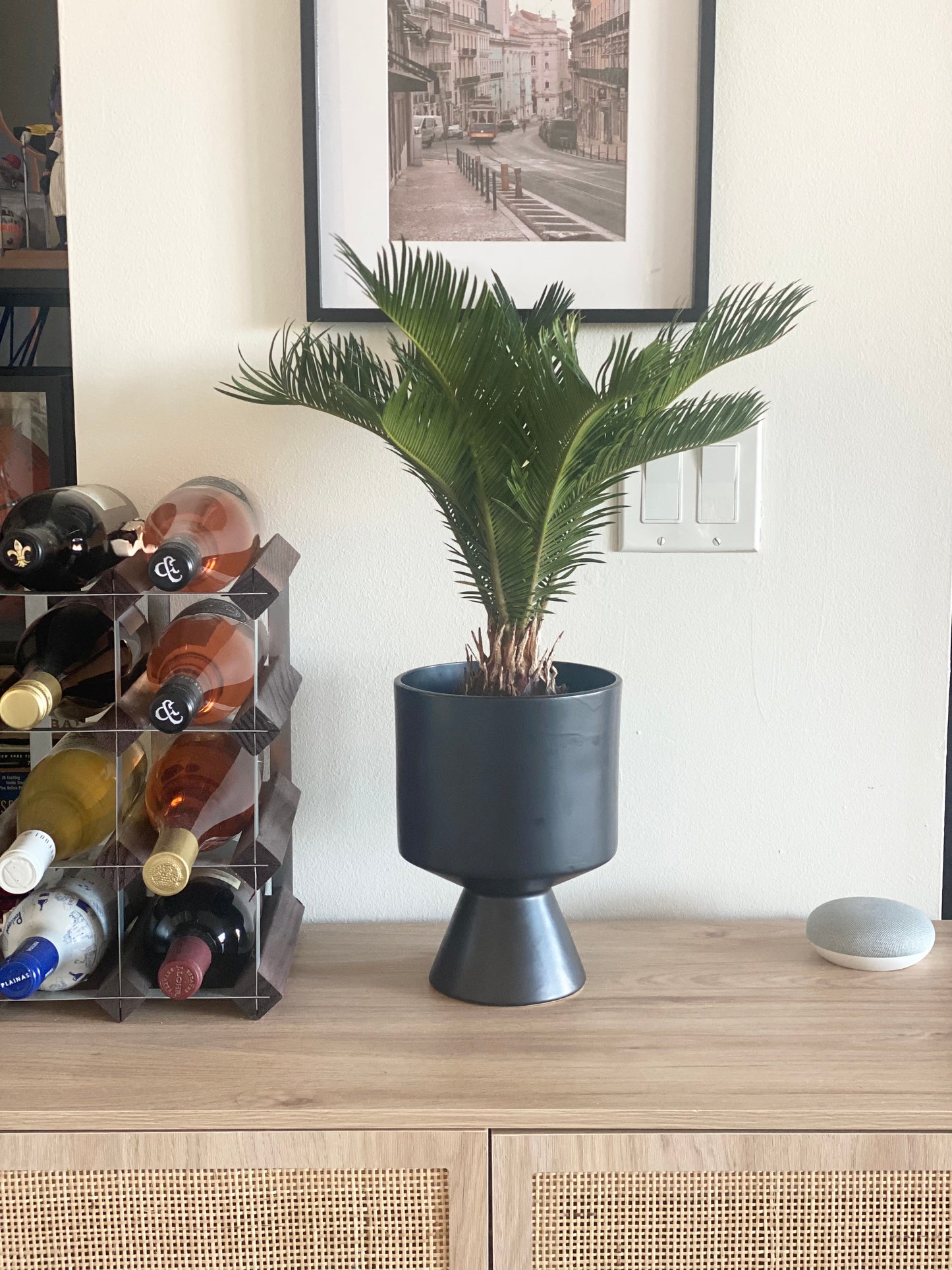 Black De Vil Pot