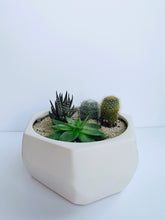 Load image into Gallery viewer, Succulent Geometric Planter
