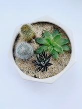 Load image into Gallery viewer, Succulent Geometric Planter
