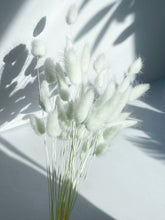 Load image into Gallery viewer, Dried Bunny Tails | Dried Lagurus
