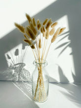 Load image into Gallery viewer, Dried Bunny Tails | Dried Lagurus
