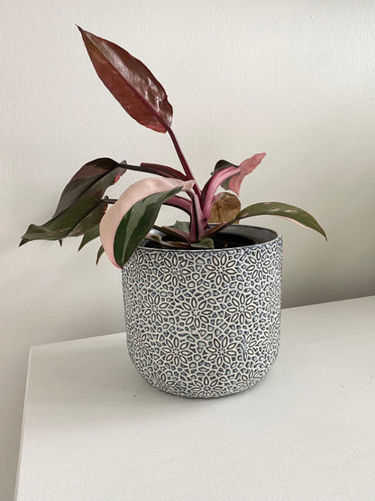 Millie Pot