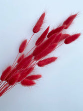 Load image into Gallery viewer, Dried Bunny Tails | Dried Lagurus
