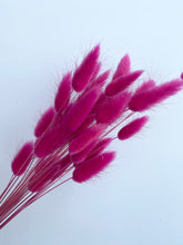 Load image into Gallery viewer, Dried Bunny Tails | Dried Lagurus
