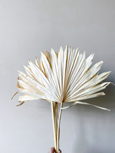 Load image into Gallery viewer, Dried Palm Sun Leaves
