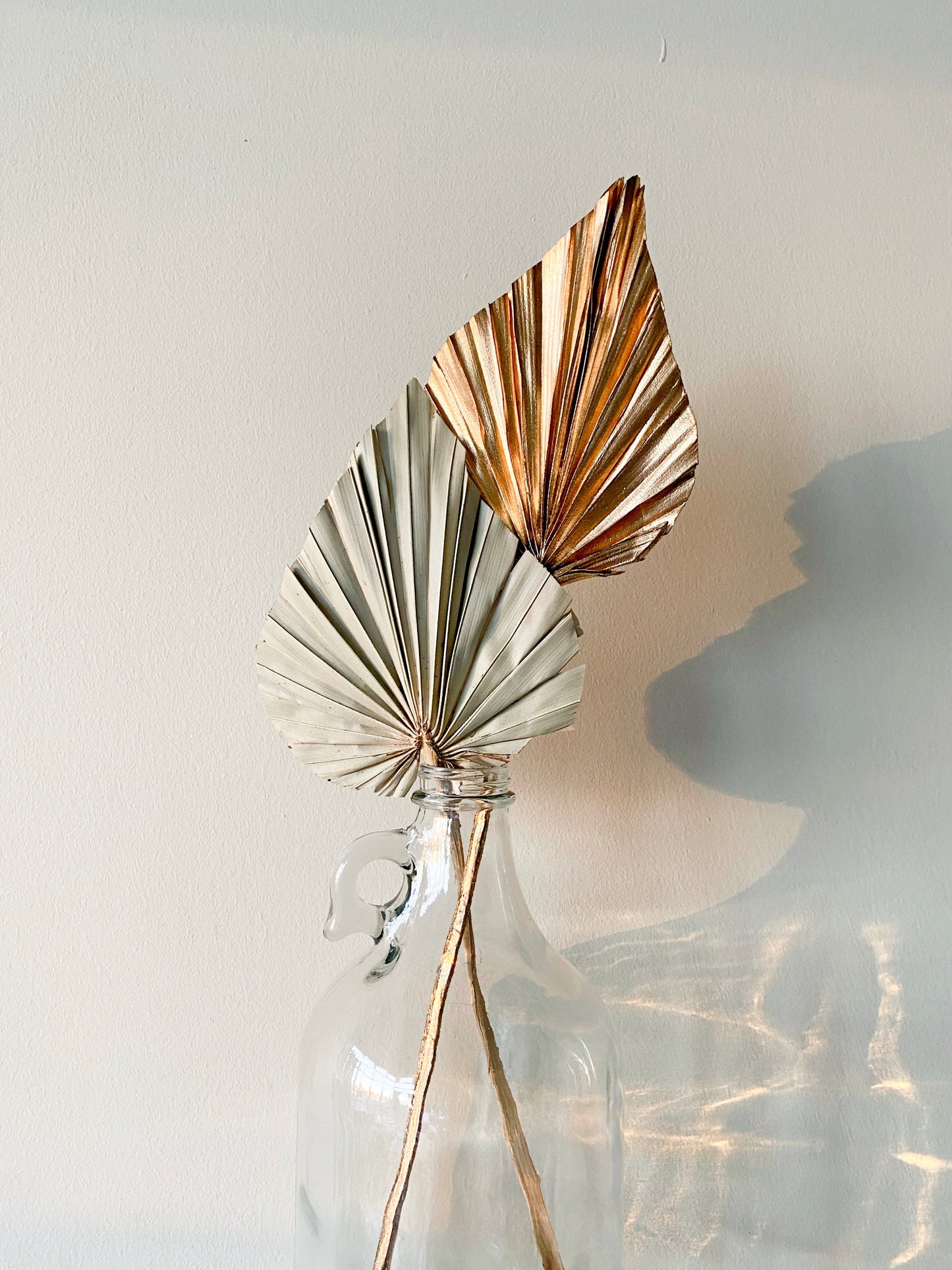 Small Dried Palm Spears