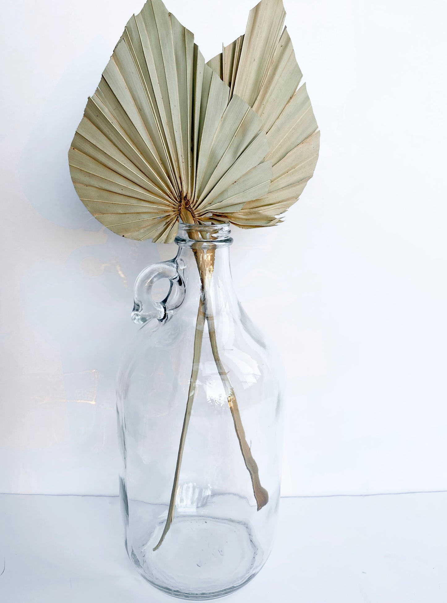 Small Dried Palm Spears