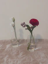 Load image into Gallery viewer, Clear Glass Bud Vase
