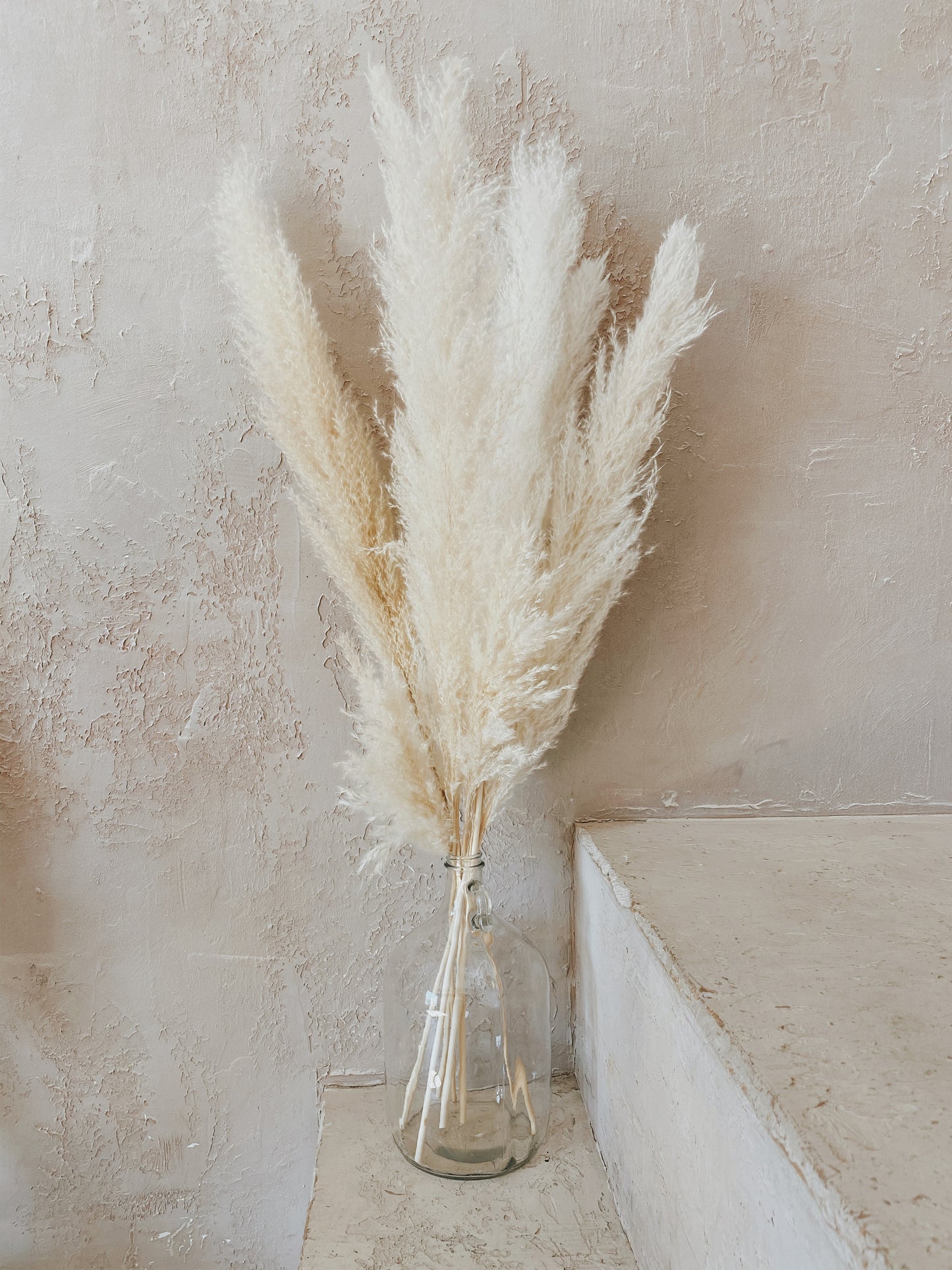 Pampas Grass
