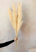 Load image into Gallery viewer, Pampas Grass
