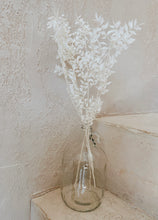 Load image into Gallery viewer, Preserved Bleached Ruscus
