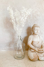 Load image into Gallery viewer, Preserved Bleached Ruscus
