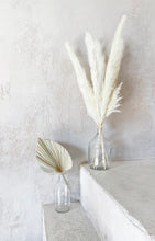 Load image into Gallery viewer, Dried Anahaw Leaves | Dried Palm Leaves
