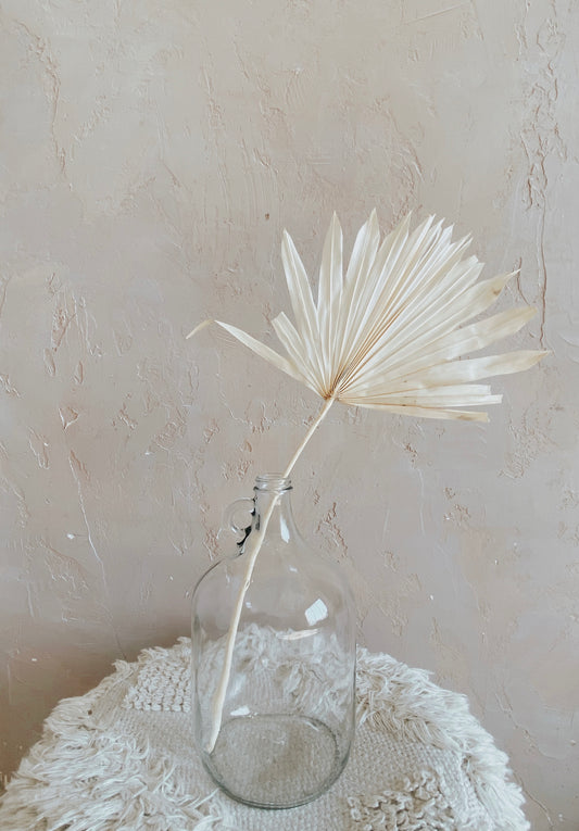 Dried Palm Sun Leaves