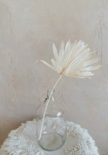 Load image into Gallery viewer, Dried Palm Sun Leaves
