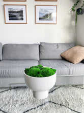 Load image into Gallery viewer, Moss in White Compote
