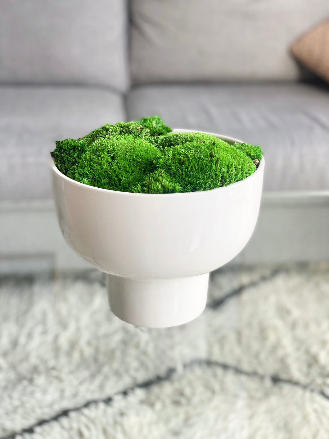 Moss in White Compote