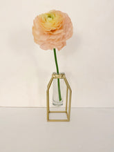 Load image into Gallery viewer, Propagation Vase - Gold
