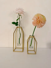 Load image into Gallery viewer, Propagation Vase - Gold
