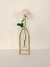 Load image into Gallery viewer, Propagation Vase - Gold
